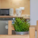 Livingtarifa Maui Apartamento